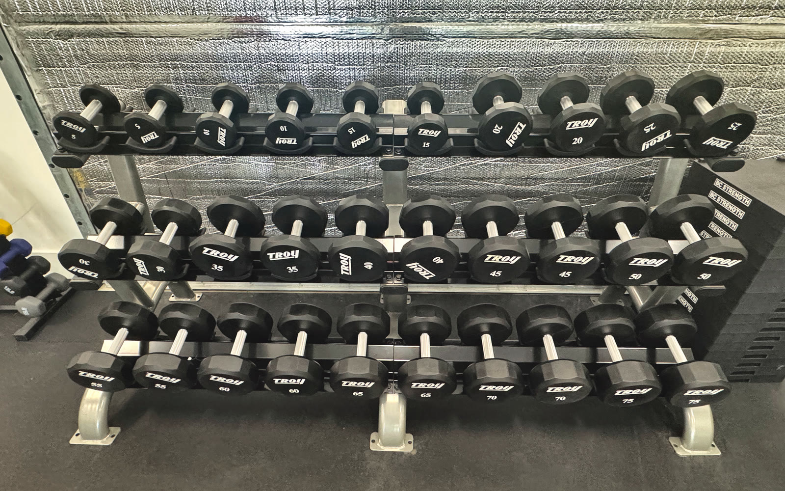 Rows of dumbbells on the strength floor at Solstice.